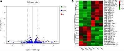 Transcriptional analysis of microRNAs related to unsaturated fatty acid synthesis by interfering bovine adipocyte ACSL1 gene